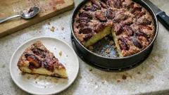 Pflaumenkuchen aus der Springform: saftige Zwetschgen auf lockerem Rührteig